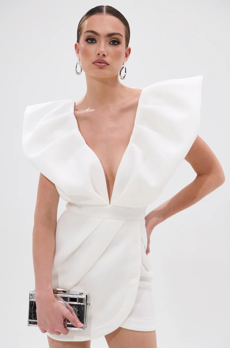 Ruffle Sleeve Mini Dress